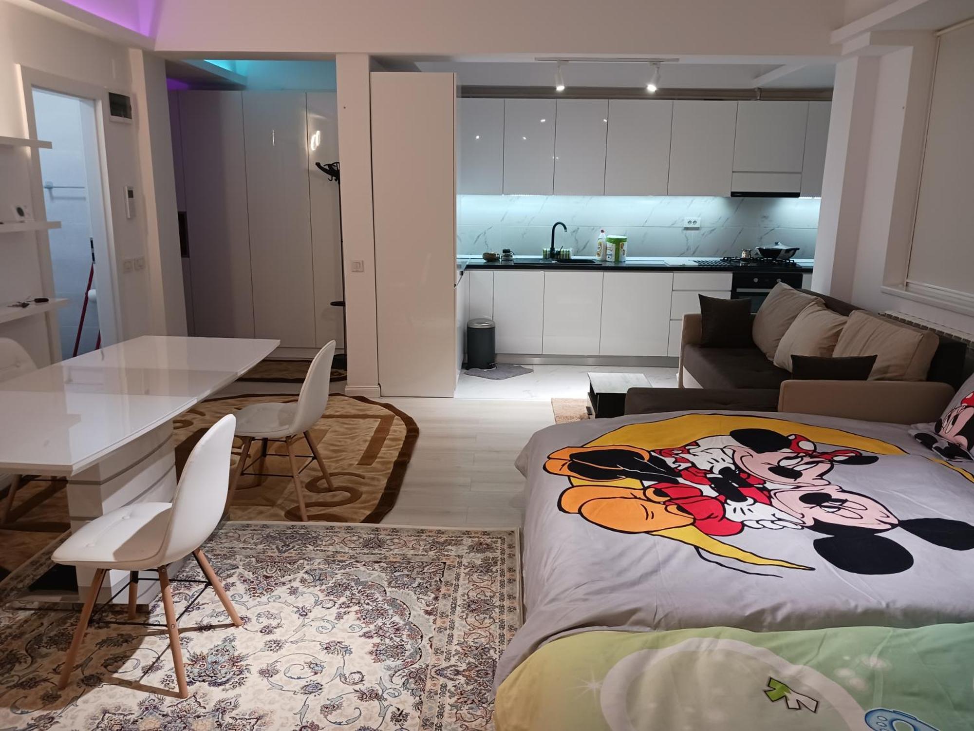Myky Mouse Nu Primesc Santieristi Si Petrecareti Bucareste Exterior foto