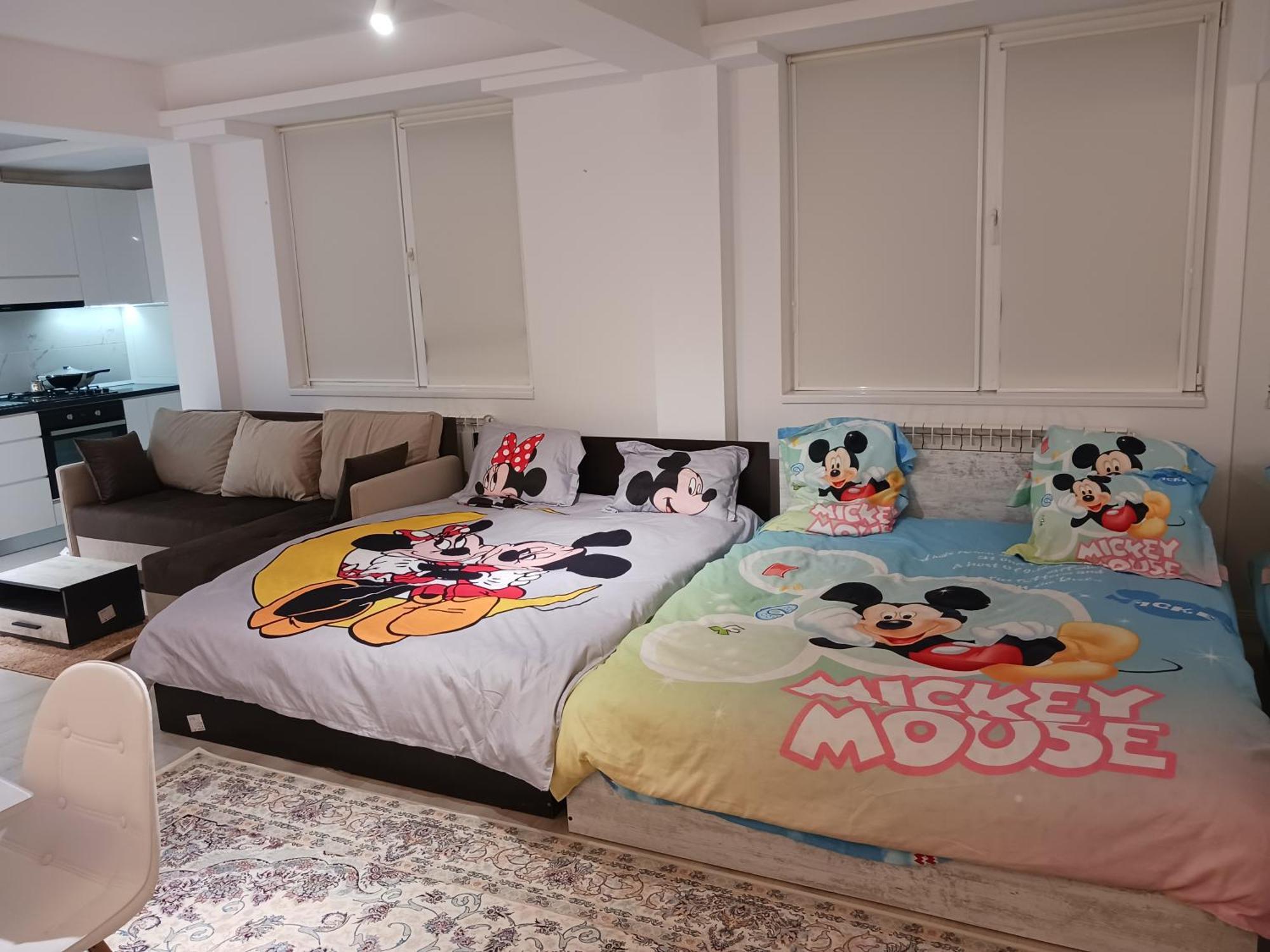 Myky Mouse Nu Primesc Santieristi Si Petrecareti Bucareste Exterior foto